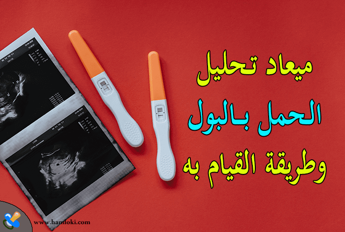 ميعاد تحليل الحمل بالبول وطريقة القيام بتحليل الحمل بالبول